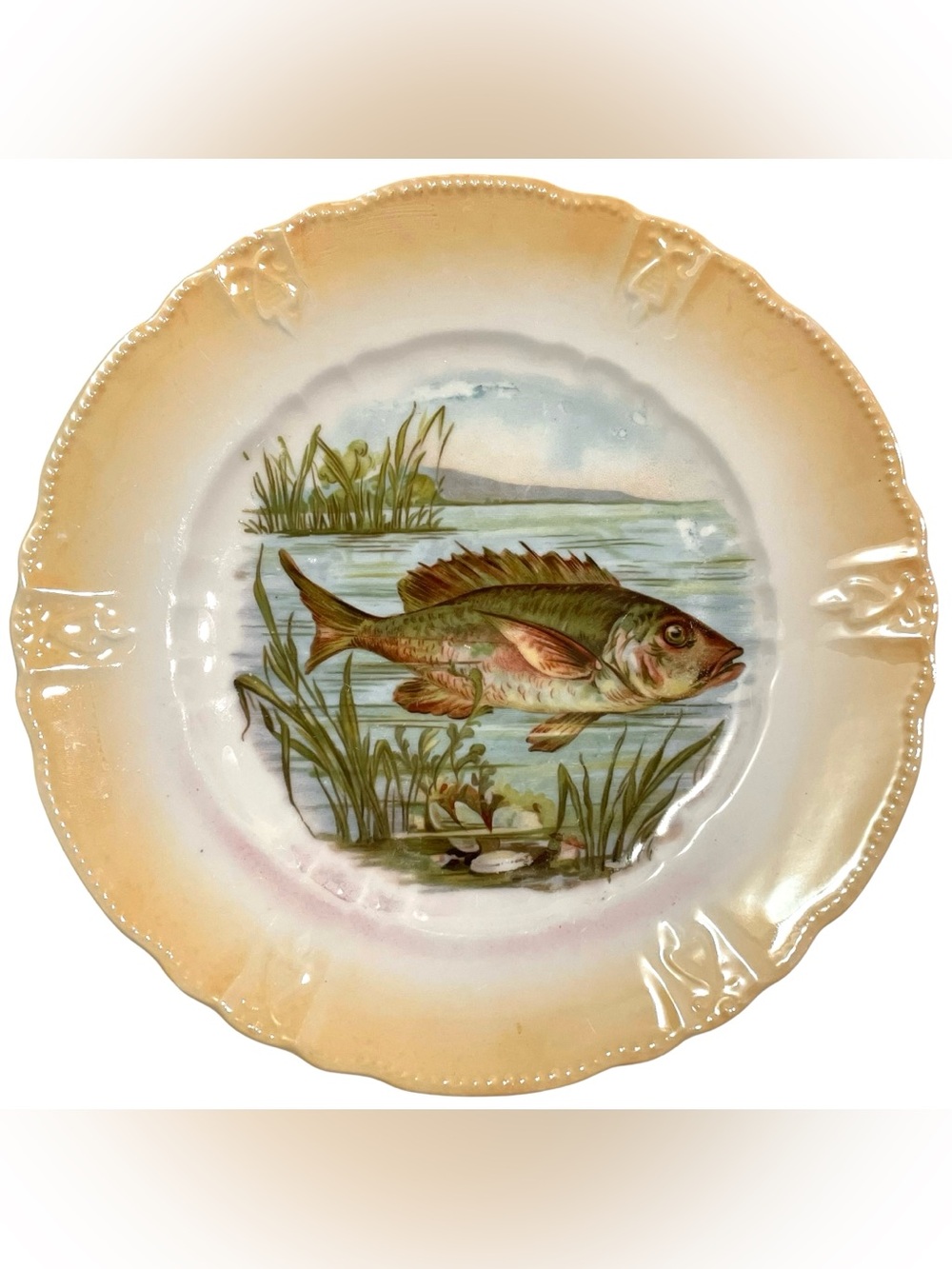 Antique 1900s Germany Perch Fish Pond Iridescent Opalescent Porcelain plate